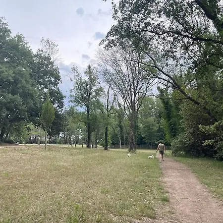 Apartmán Cosy A 1mn De La *